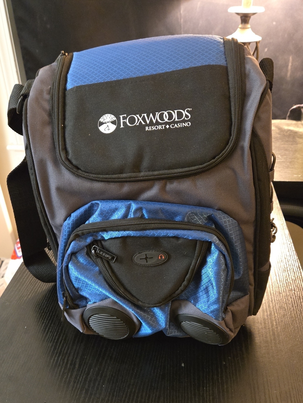 Foxwoods Blue and Gray Portable Audio Cooler Bag with Built-In Speakers